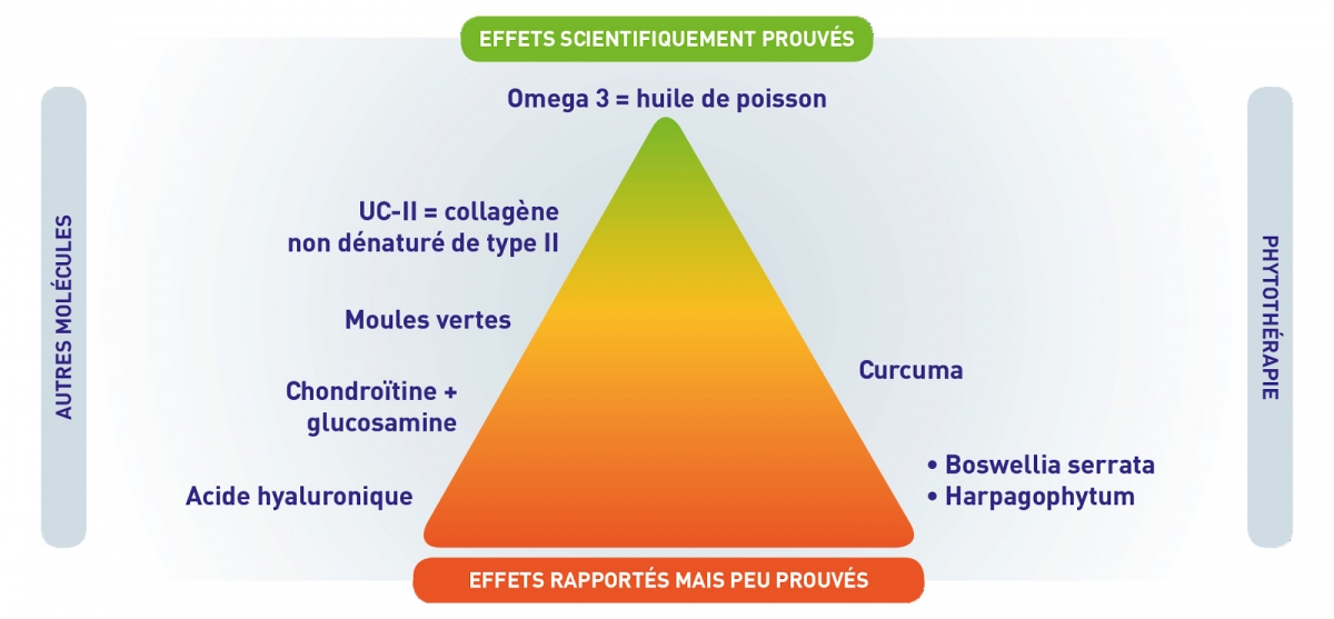 Tableau 2 - Pyramide des effets scientifiquement prouvés des chondroprotecteurs