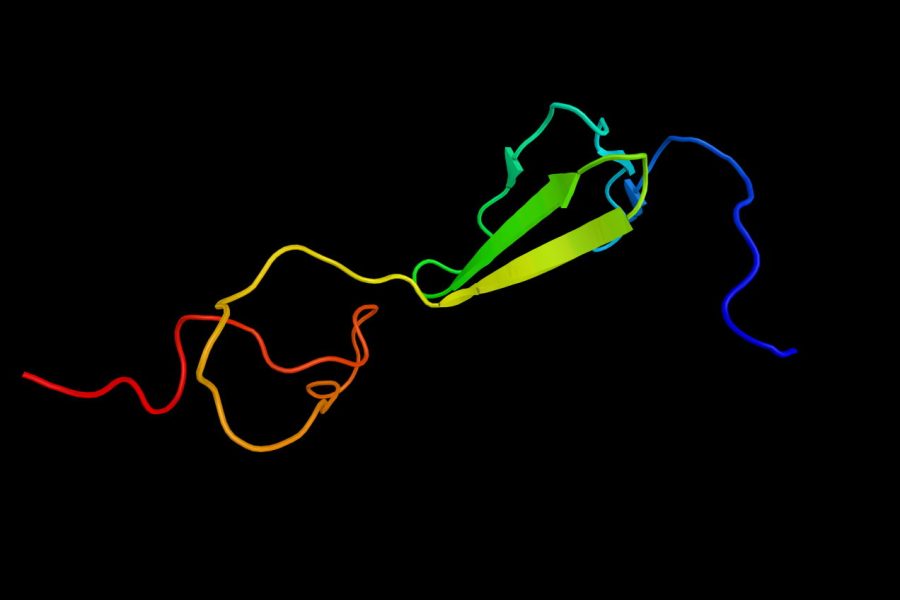 Alpha-1 chain of type II collagen, a fibrillar collagen found in cartilage and the vitreous humor of the eye. Mutations are associated with achondrogenesis, chondrodysplasia and other conditions. (Alpha-1 chain of type II collagen, a fibrillar collage